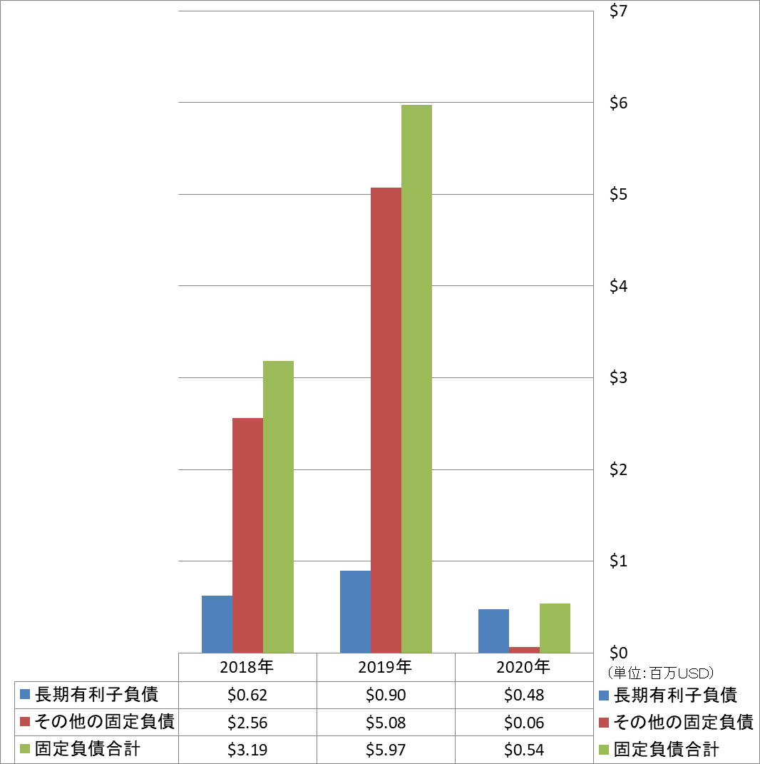 long-term-liabilities