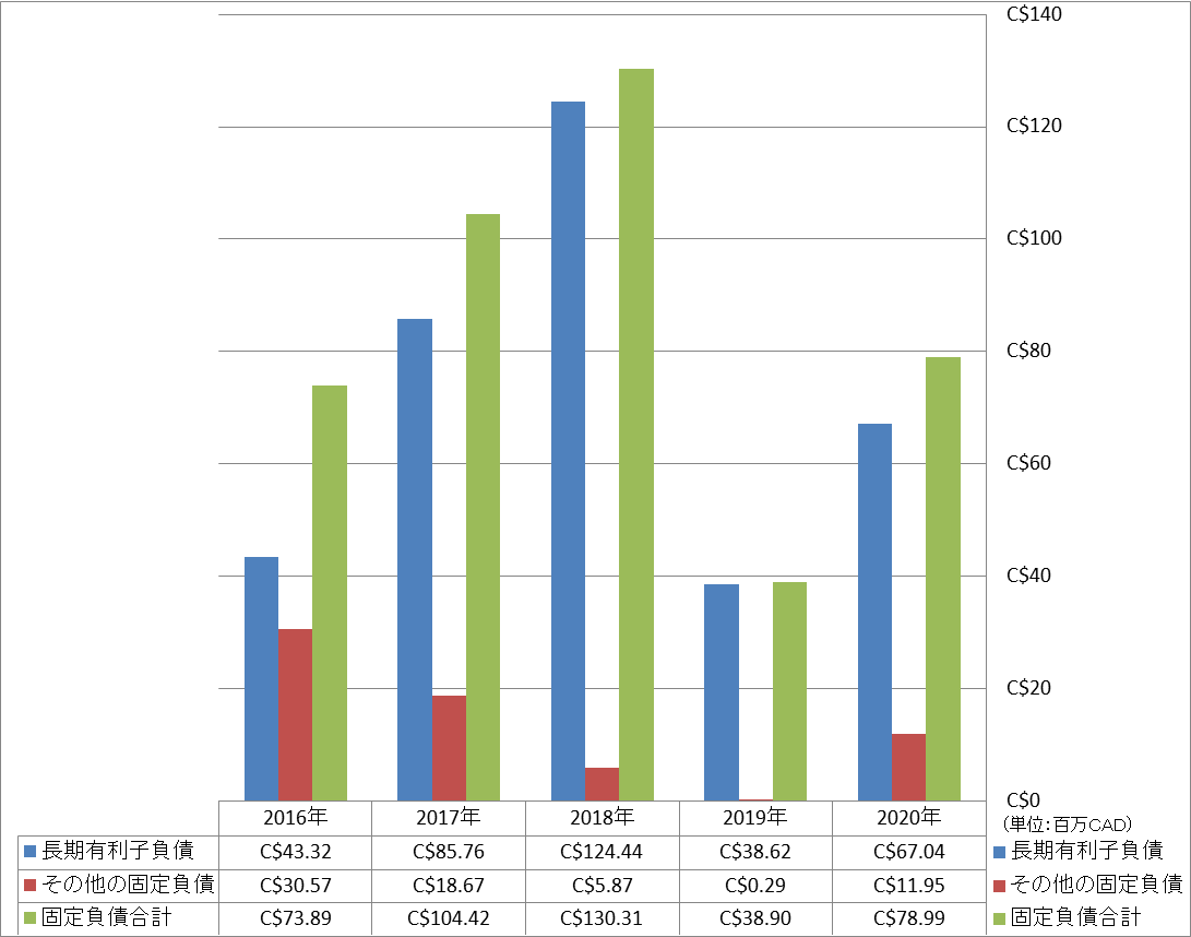 long-term-liabilities